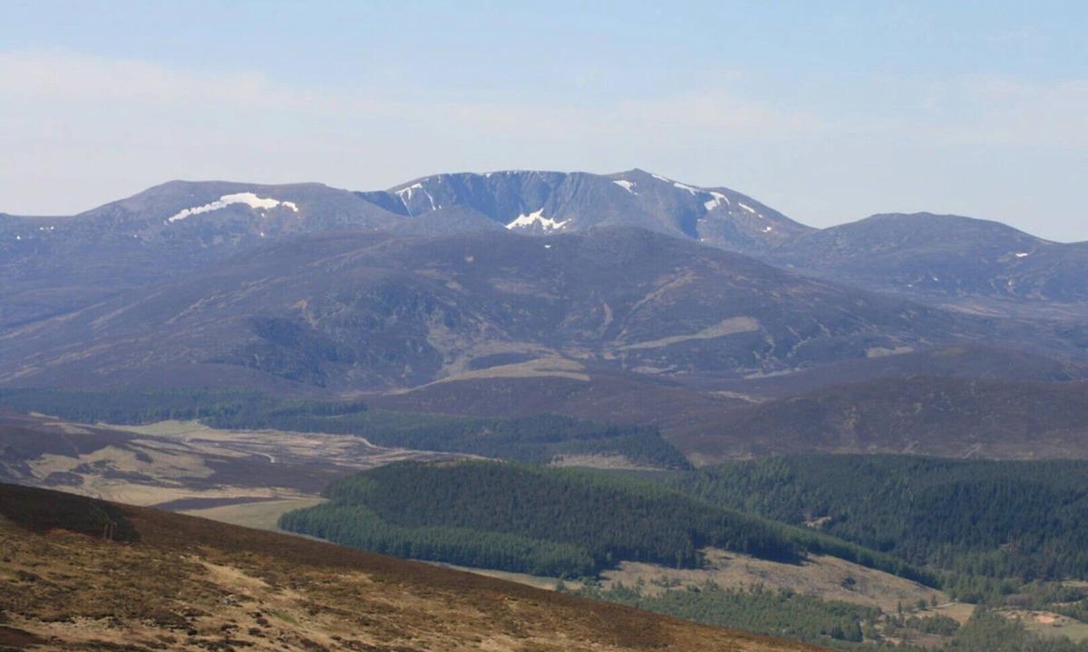 Ballater Cottage | Gardener's Cottage