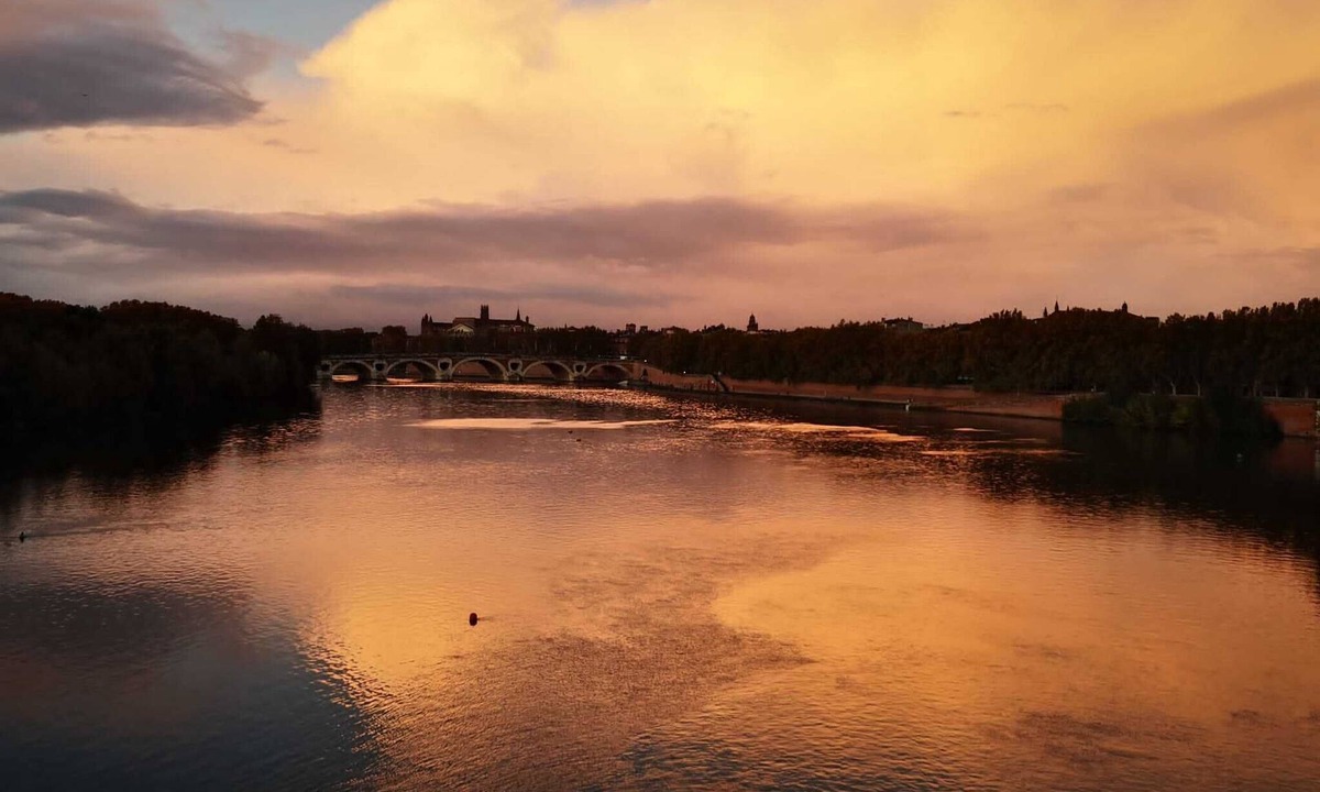 Fer a Cheval Apartment | Garonne view - Center - Tramway
