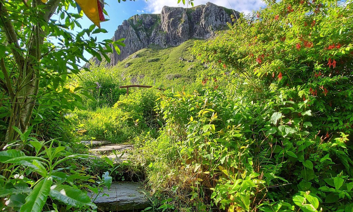 Ellenabeich Bed & Breakfast | Garragh Mhor B&B