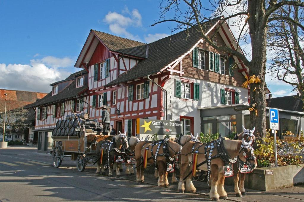 Rafz Hotel | Gasthaus Sternen