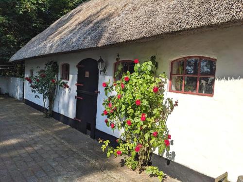 Ribe Hostel | Gemütliches Reetdachhaus mit Kaminofen
