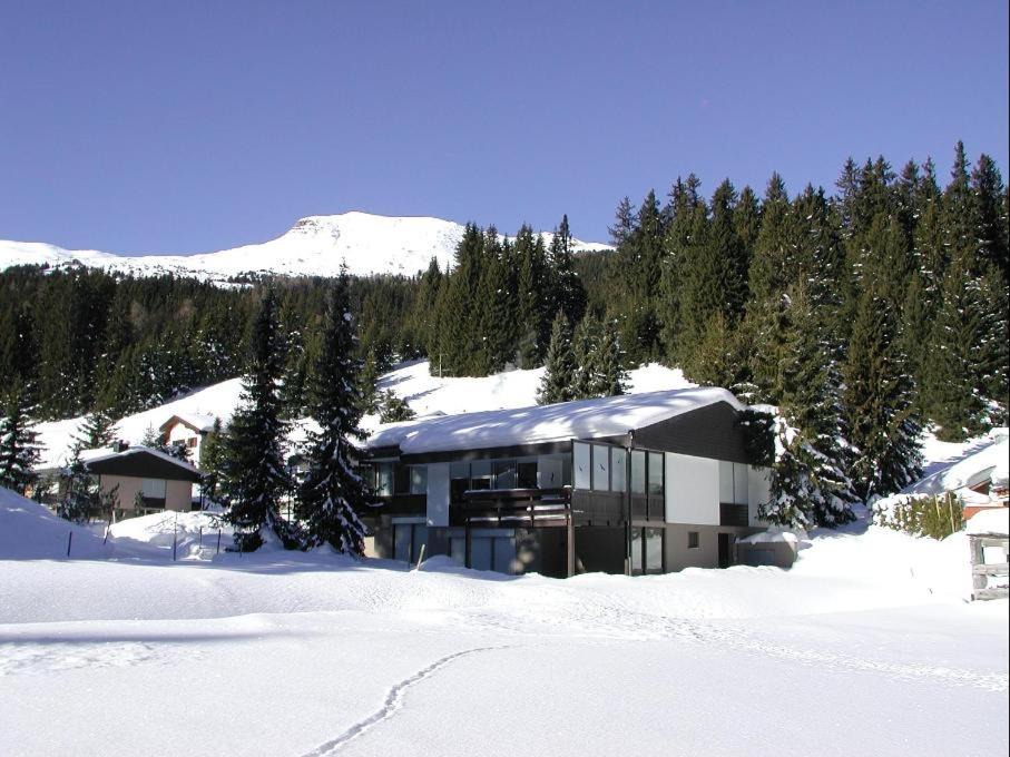 Lenzerheide Apartment | Gentiana (162 Li) Studio