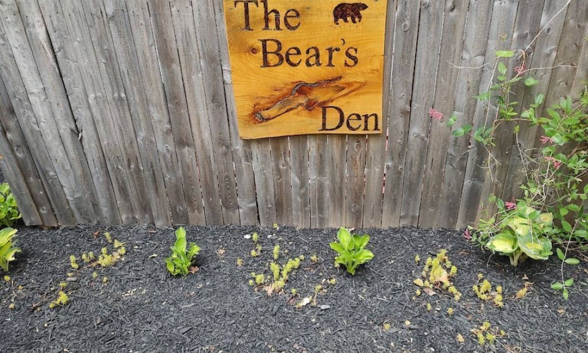 Brainard House | Get away and get back to nature!