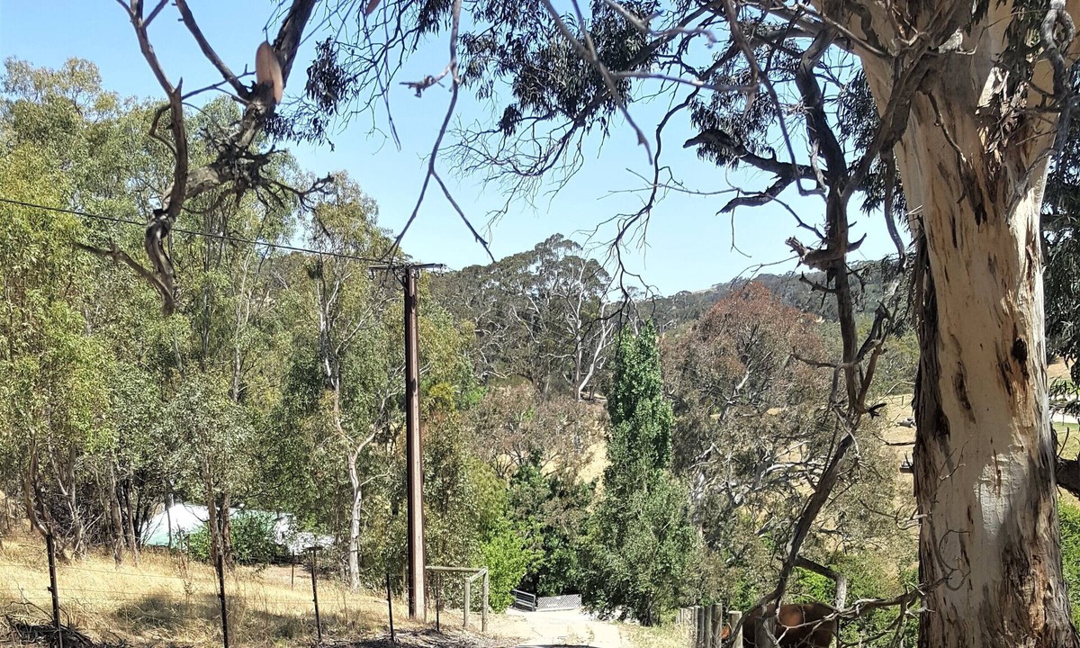 Macclesfield Cottage | "Get away from the world for a while"