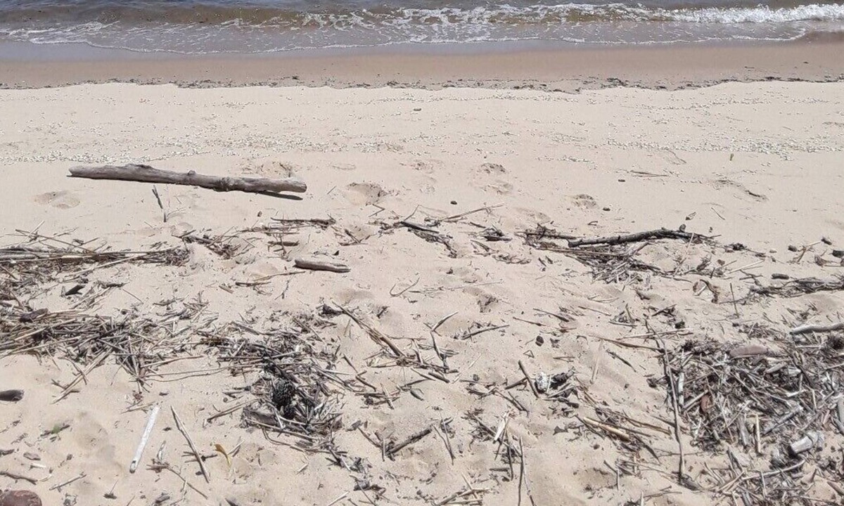 Arundel on the Bay House | Get Away On The Bay!