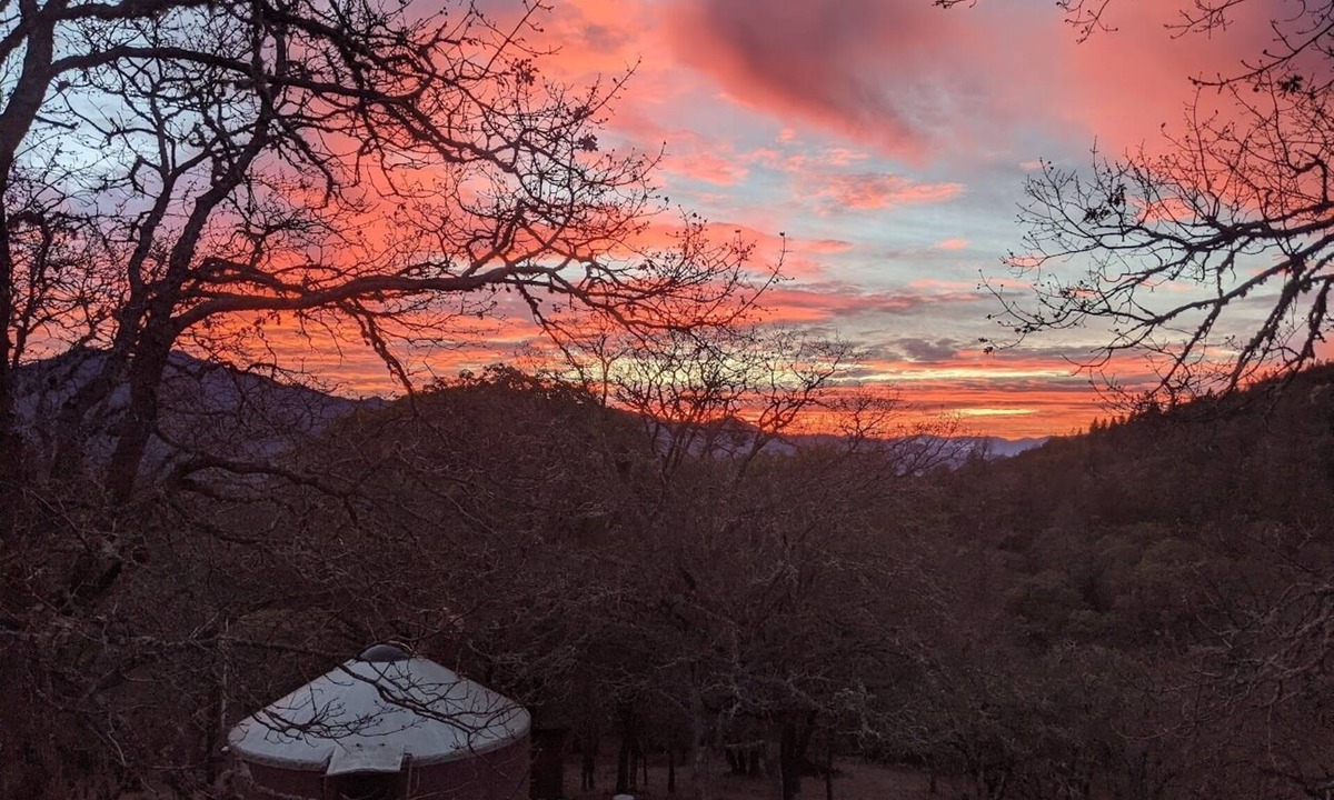 Jacksonville Cabin | Getaway in Nature Preserve