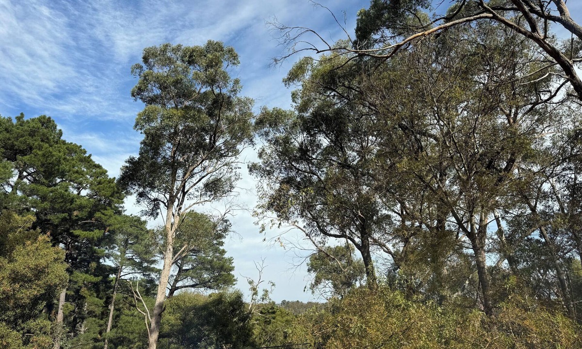 Crafers West Apartment | Getaway in the Adelaide Hills