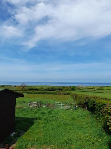 Dinas Other | Gilfach