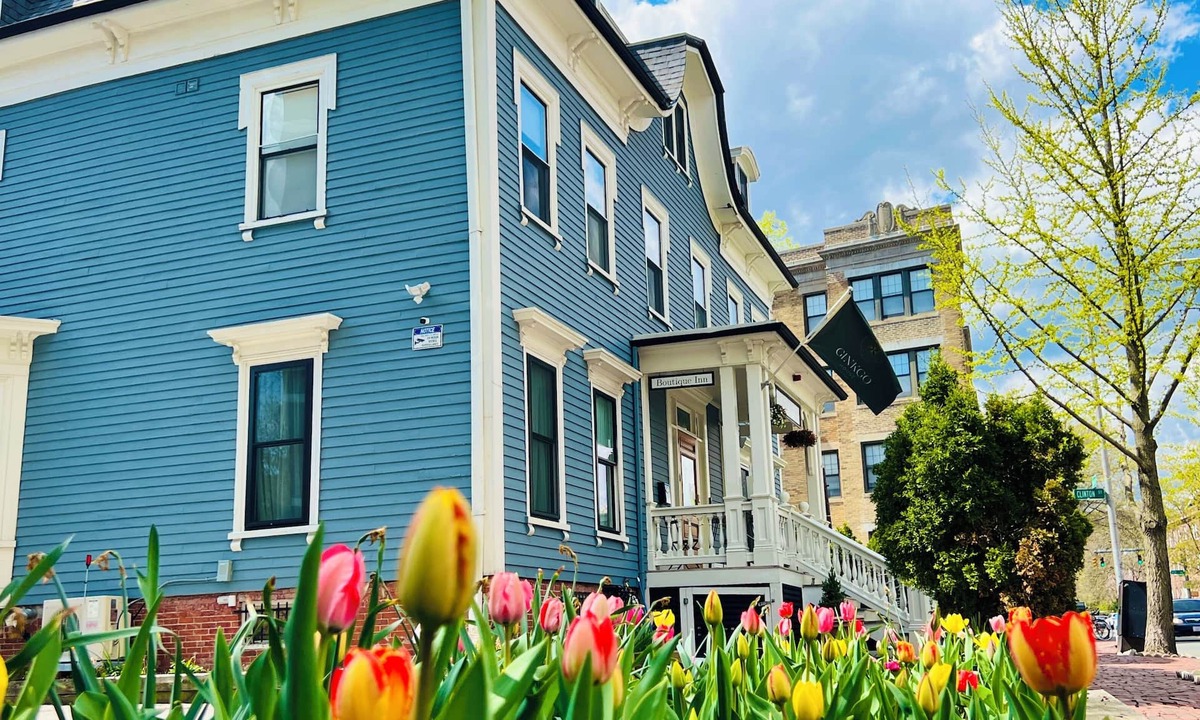 Central Square Hotel | Ginkgo House on Harvard