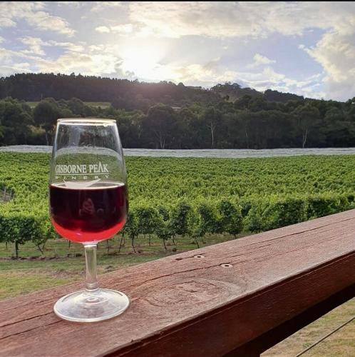 Gisborne Cabin | Gisborne Peak Winery Short Term Stays