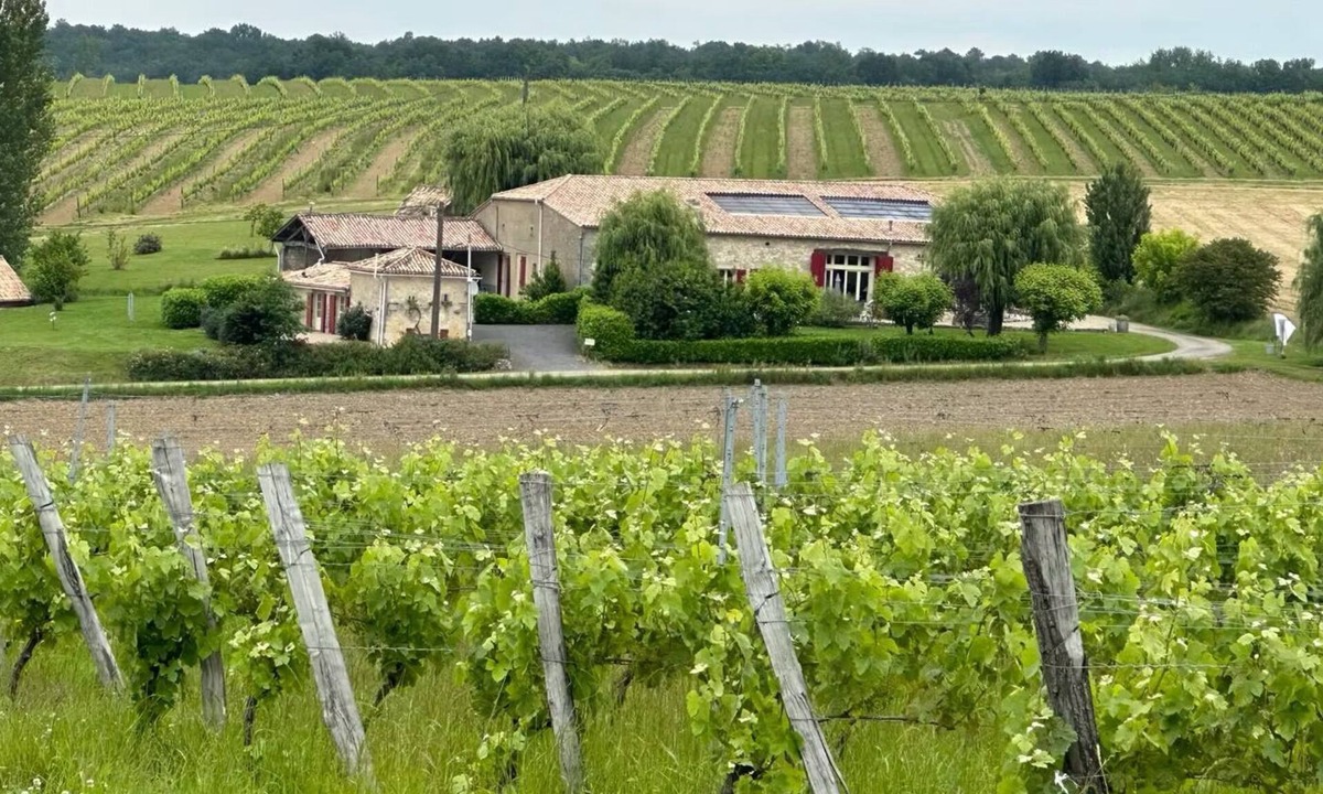 Esclottes Cottage | Gîte amongst the vines