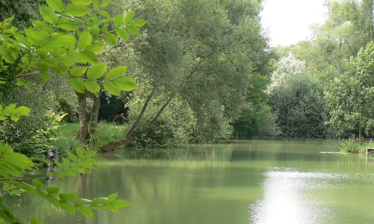 Sampigny Cottage | Gîte and pond access