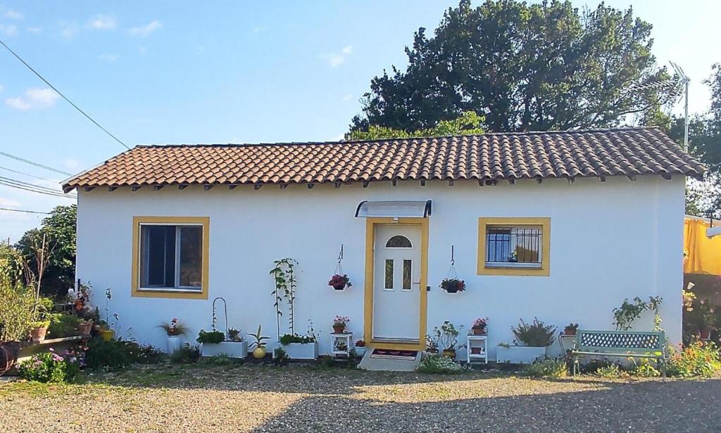 Hagetmau House | Gite aux fleurs