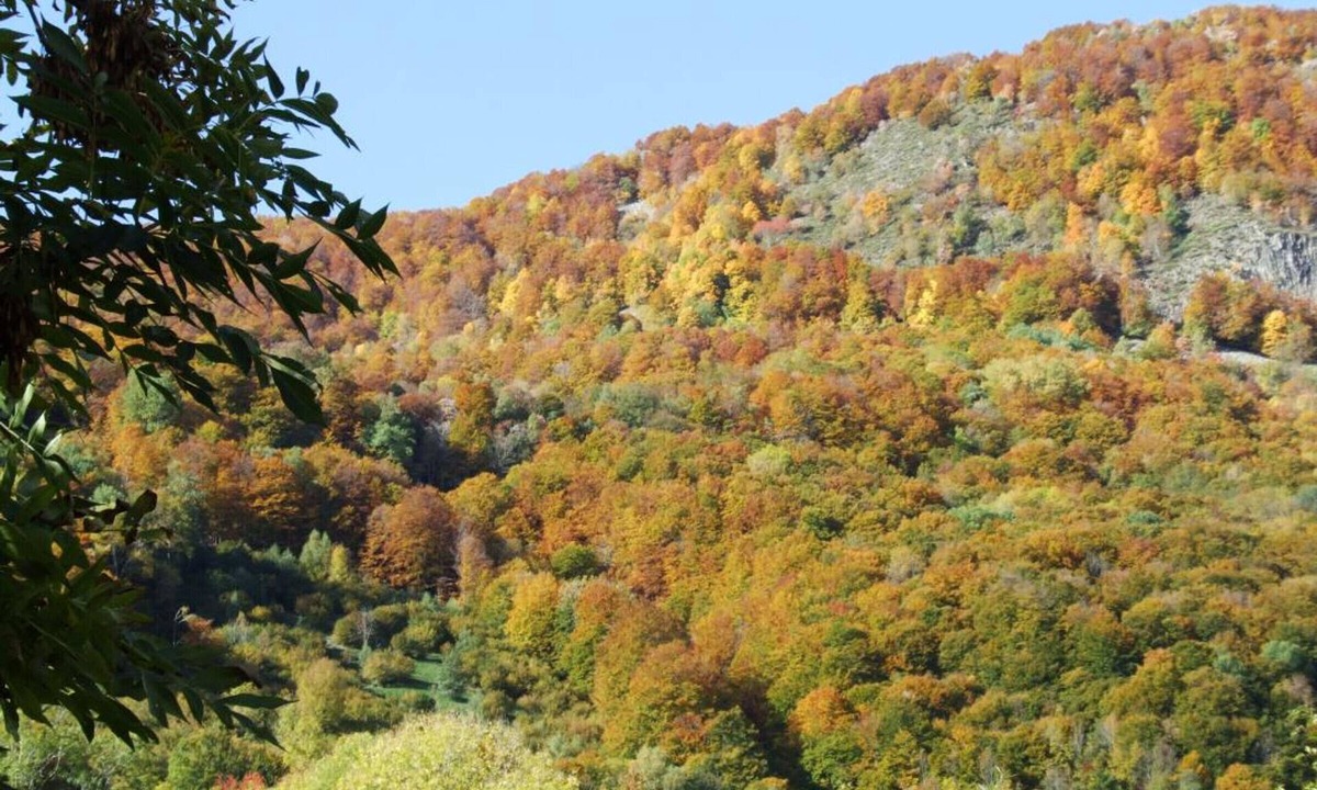 Brezons Cottage | Gite Brezons, 4 bedrooms, 8 persons