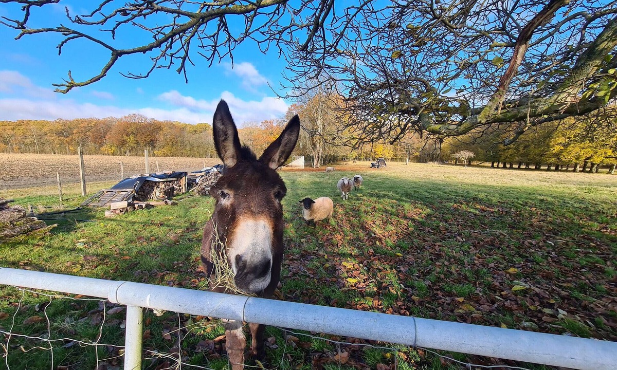 Bucy-Saint-Liphard Cottage | Gite Bucy-Saint-Liphard, studio flat, 2 persons
