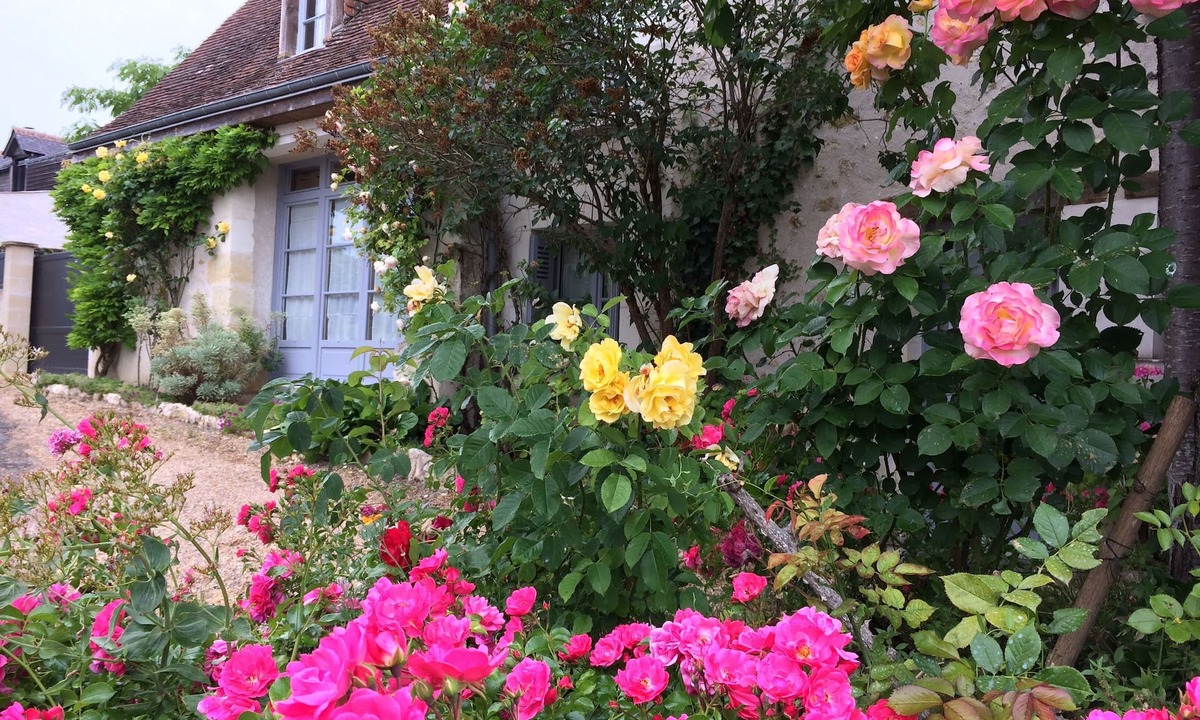 Amboise House | GITE, CHARMING HOUSE CLASSIFIED 3 STARS IN AMBOISE overlooking the Loire