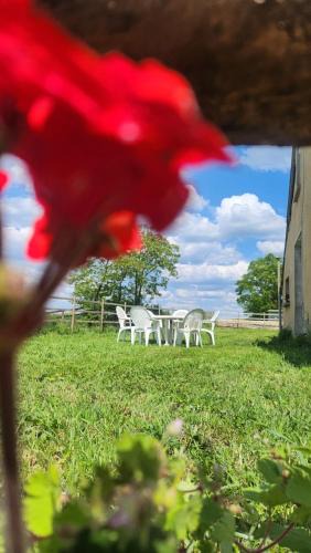Saint-Aubin-de-Locquenay House | Gite de Lavardin