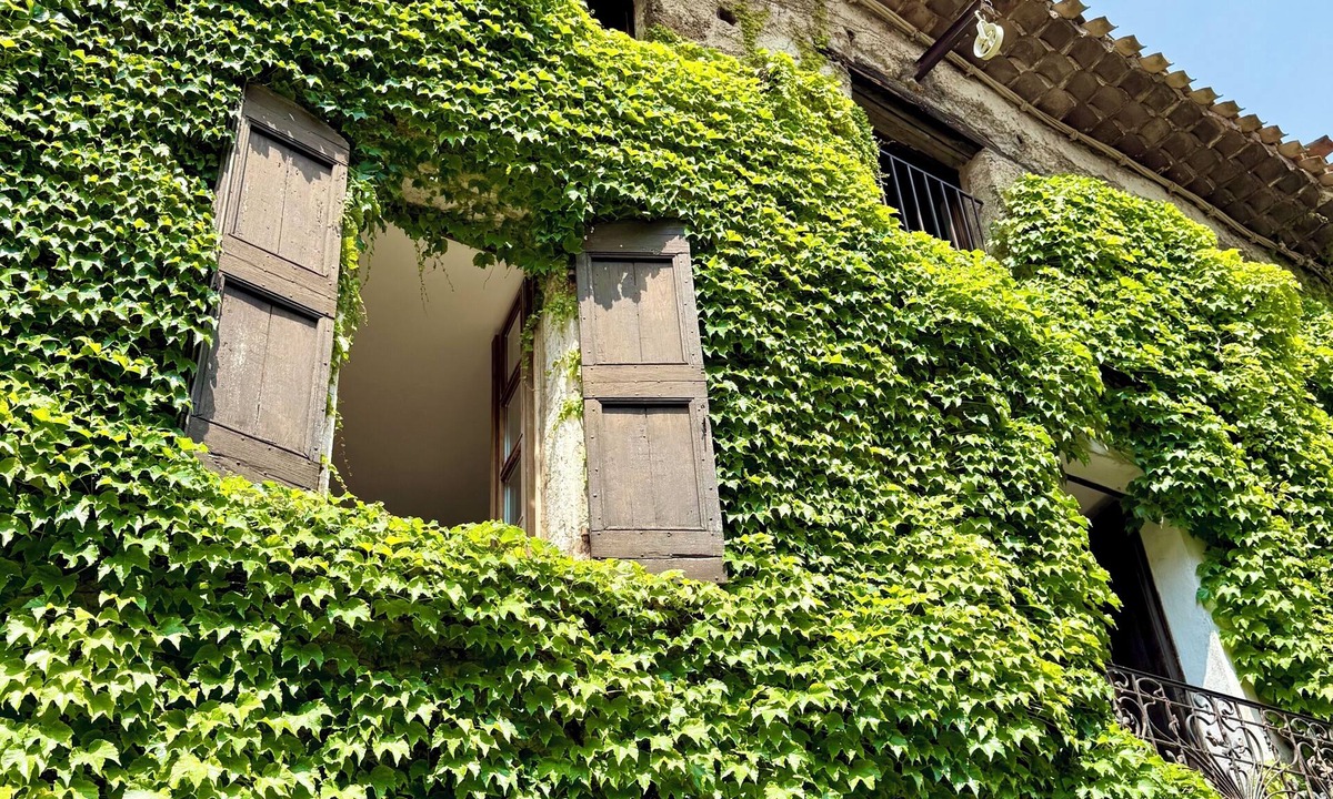 Saint-Guilhem-le-Desert Bed & Breakfast | Gite de la Tour