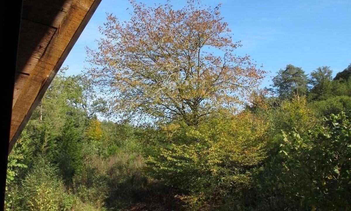 Alligny-en-Morvan Ski Chalet | Gite de la Serrée en Morvan