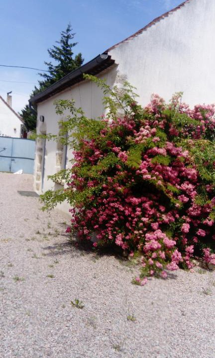 Louchy-Montfand House | Gite de Marcureau