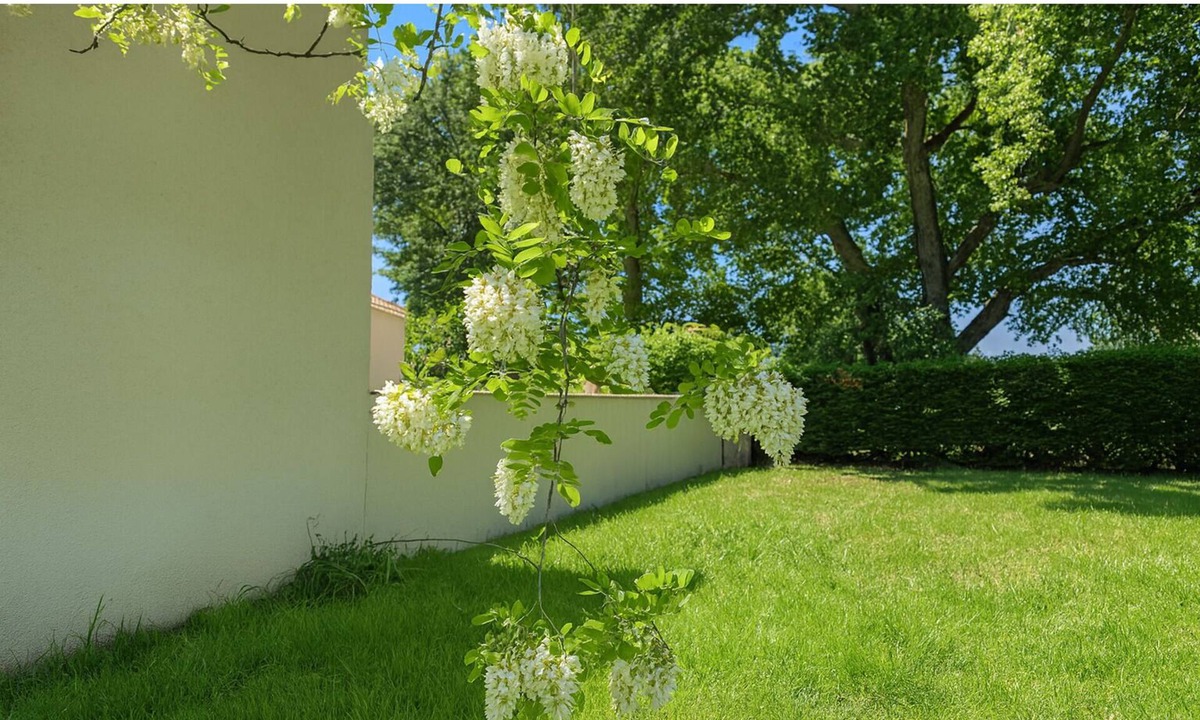 Camaret-sur-Aigues House | Gite de Mina, we welcome you and your pet.
