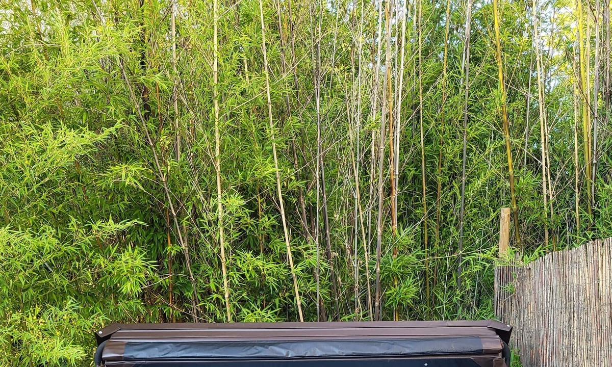 Montricoux House | Gite de Montricoux - Large detached House with enclosed Garden