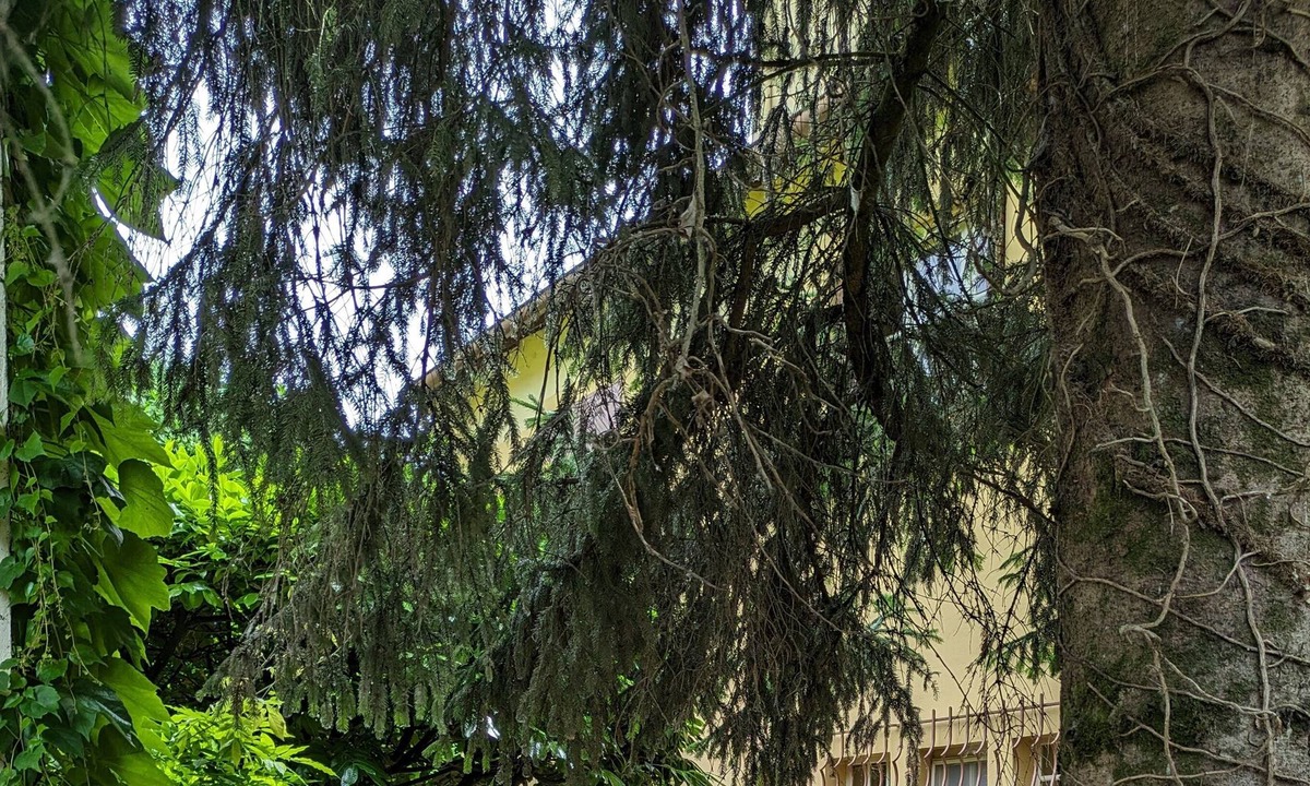 Verdun-sur-le-Doubs House | Gite DES 3 Rivieres