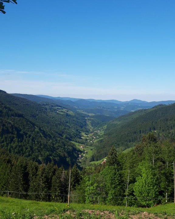 Sainte-Marie-aux-Mines Apartment | Gite des Mines d'Argent