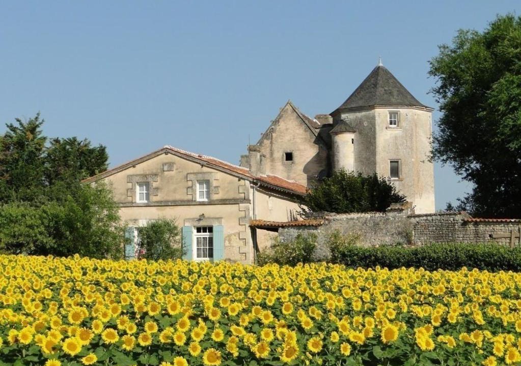 Avy House | Gite du Château de Pernan
