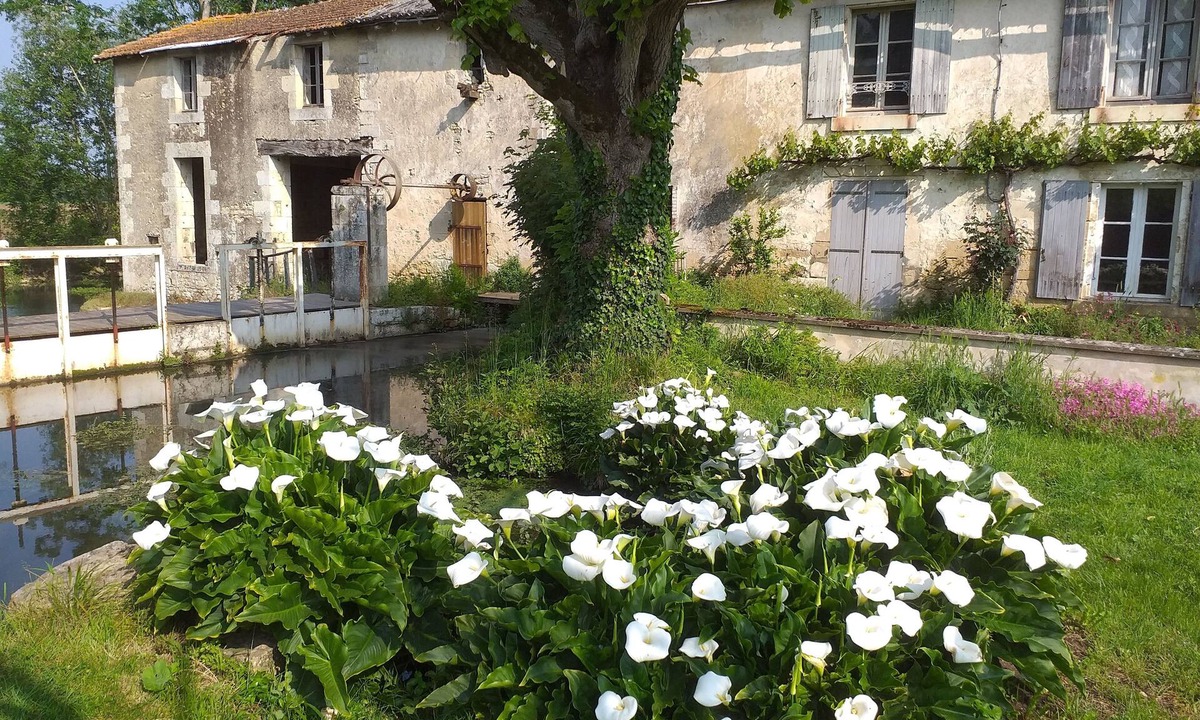 La Mothe-Saint-Heray House | GITE DU MOULIN