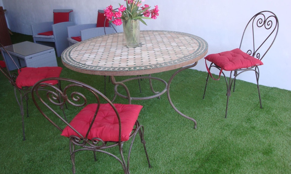 Saint-Gilles Apartment | Gîte for 2/3 people with Jacuzzi in the Camargue on the banks of the Petit Rhône