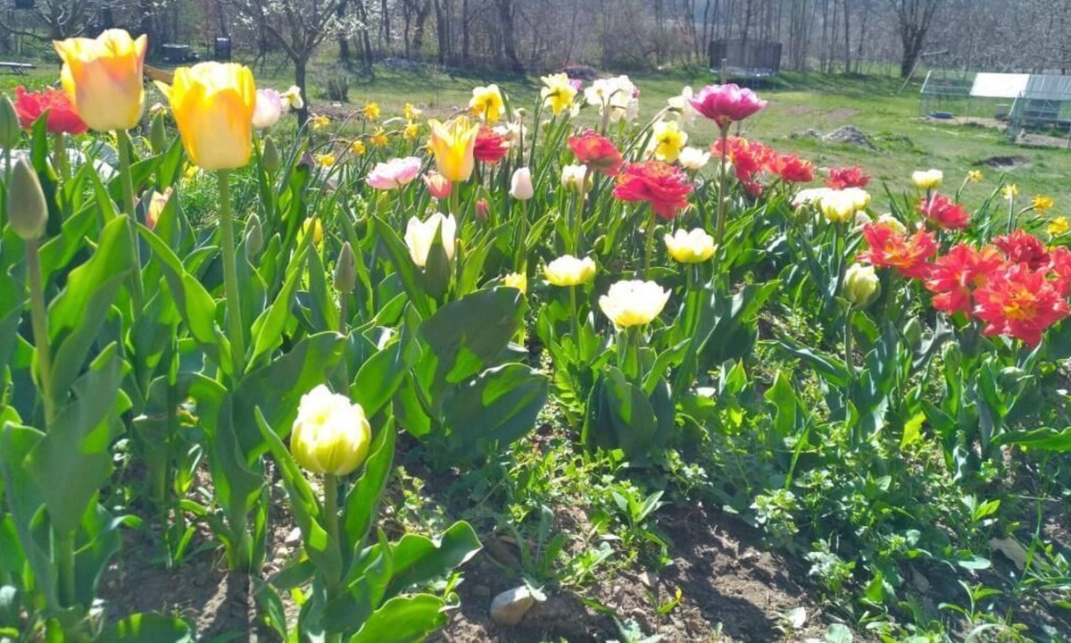 Saint-Firmin Cottage | GITE FOR 9 PEOPLE IN A DREAM SETTING