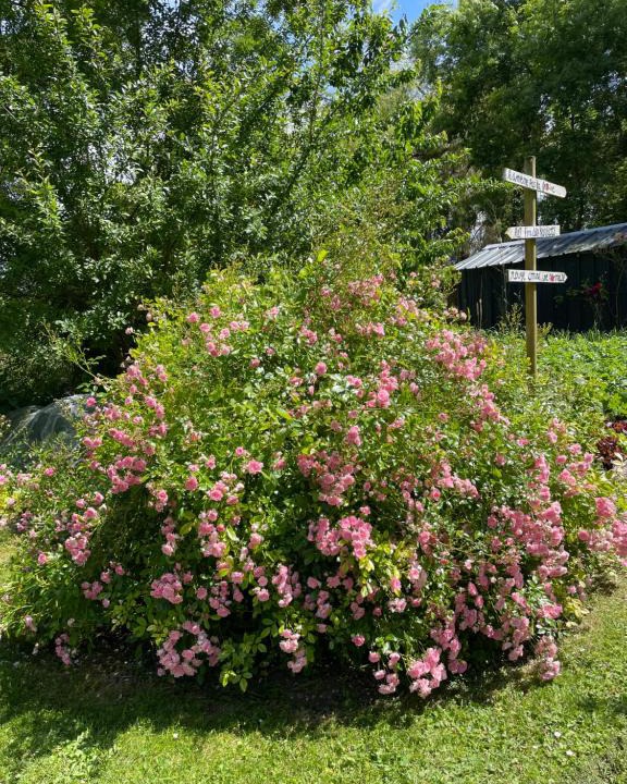 Rille Apartment | gite