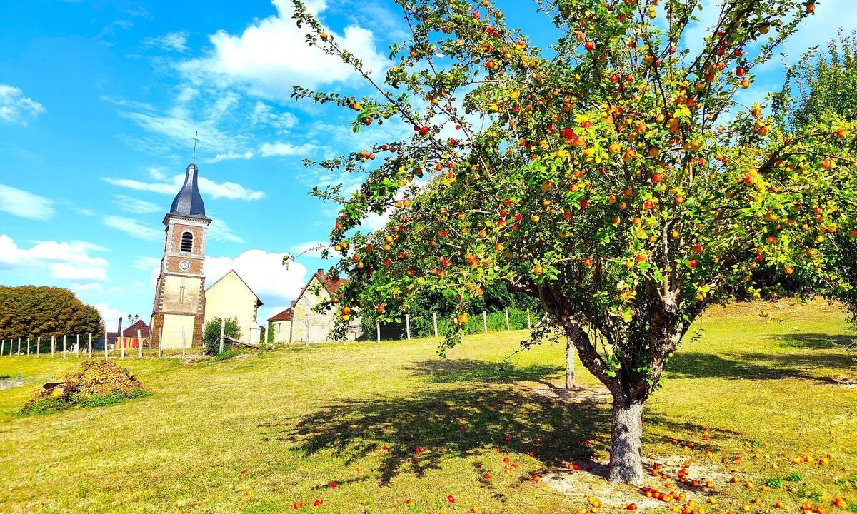 Merry-la-Vallee Cottage | Gite Grand Confort