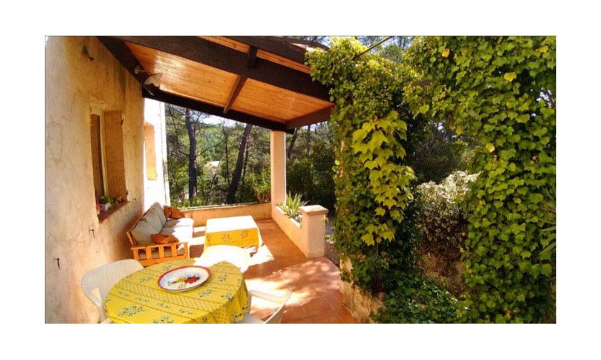 Salernes Cottage | Gîte in a peaceful setting between olive trees and swimming pool