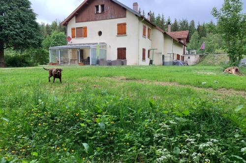 Lusse Apartment | Gite la Belle Vue de lordon