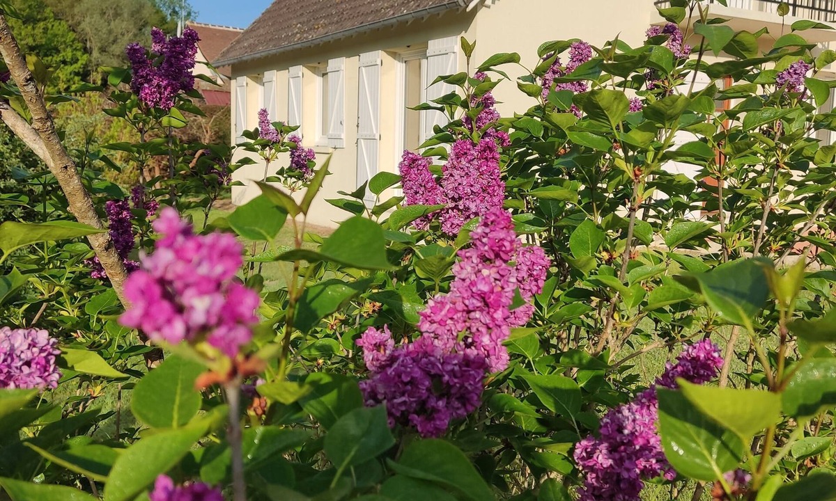 Thoury House | Gite La thébaïde