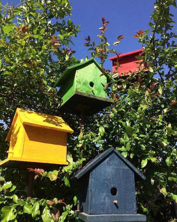 Ceyssat Bed & Breakfast | Gite La voie romaine