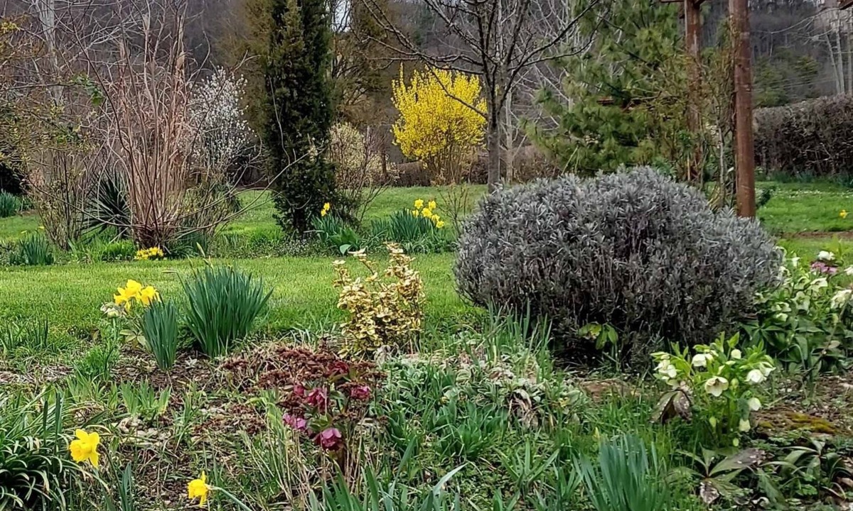 Saint-Ythaire House | Gite les Mésanges