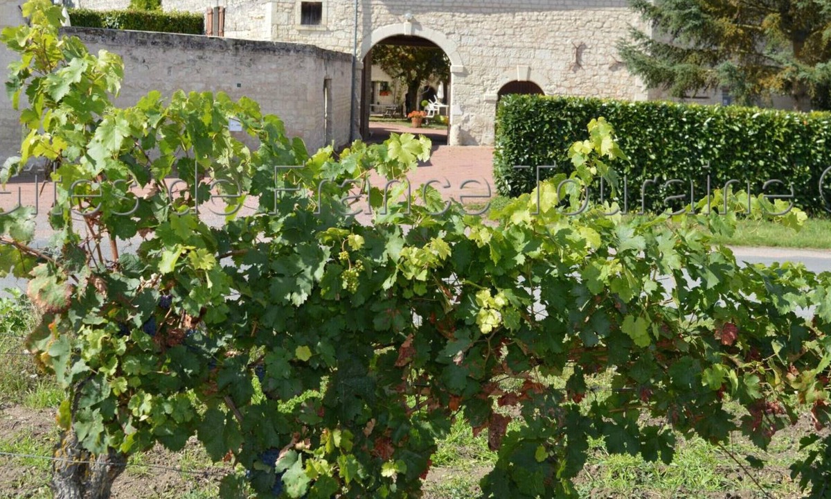 Ligre Cottage | Gite Ligré, 7 bedrooms, 15 persons
