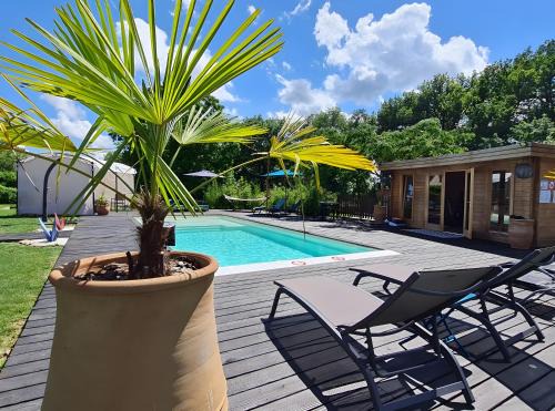 Paulin Apartment | Gite Lou Cantou - L'albizia