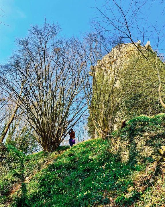 Tournebu House | Gite nadège à l Ombre d'une Tour
