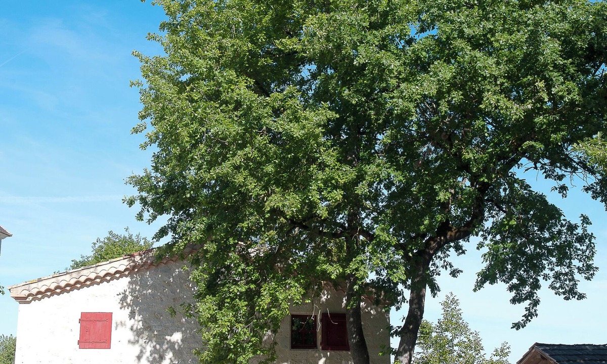 Castelnau-sur-l'Auvignon House | Gîte Petite Maison in the Gers countryside