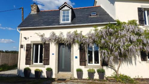 Chateauneuf-du-Faou House | Gite Petite Florence