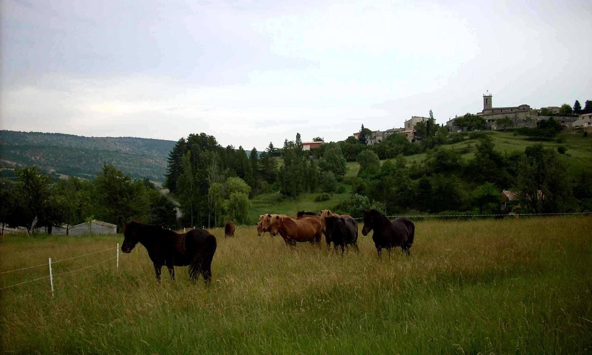 Revest-des-Brousses Cottage | GITE PROVENCE LUBERON, PACA REGION