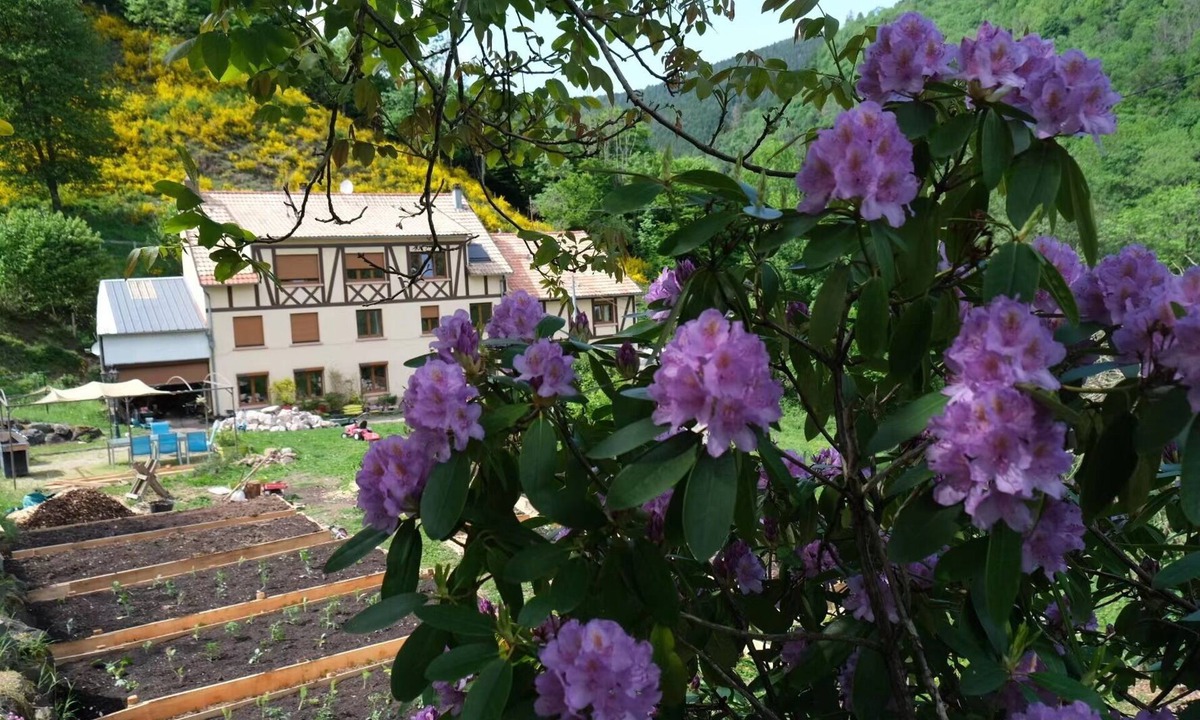 Rombach-le-Franc Apartment | Gite Saint Ludan