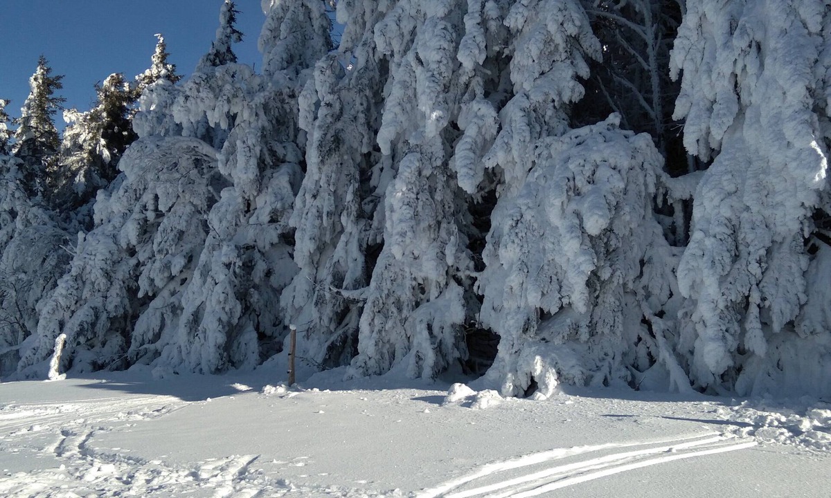 Saint-Just-en-Bas House | Gite sleeps 10