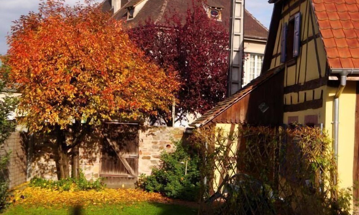 Horbourg-Wihr House | Gite "Sonneblüem un Pfefferminz"