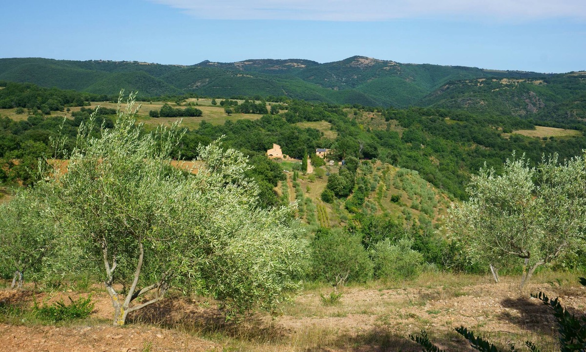 Albieres Other | gite sur oliveraie et élevage de chevaux