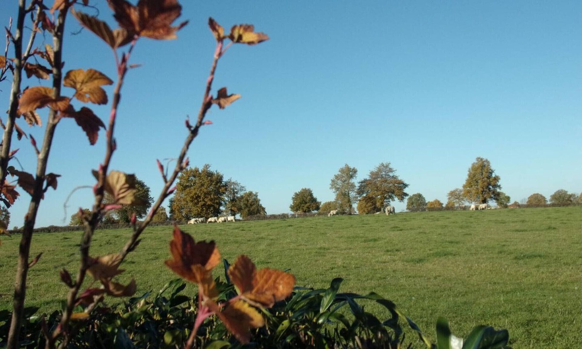 Verneix Cottage | Gite Verneix, 3 bedrooms, 6 persons